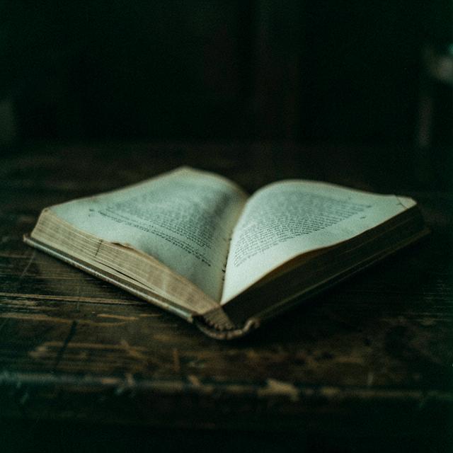 Open antique book on dark wood